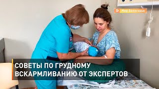 Советы по грудному вскармливанию от экспертов