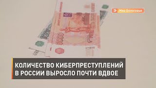 Количество киберпреступлений в России выросло почти вдвое