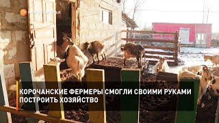 Корочанские фермеры смогли своими руками построить хозяйство