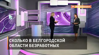 Сколько в Белгородской области безработных За год количество безработных в Белгородской области сократилось в 4 раза. В сентябре показатели занятости вернулись к докоронавирусным значениям. Подробности расскажет Елизавета Верещагина в новостях экономики.