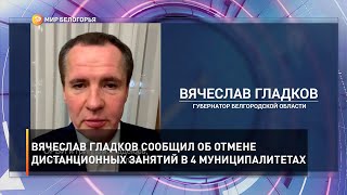 Вячеслав Гладков сообщил об отмене дистанционных занятий в 4 муниципалитетах
