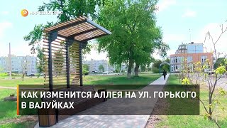 Как изменится аллея на ул Горького в Валуйках