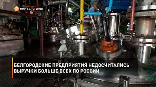 Белгородские предприятия недосчитались выручки больше всех по России