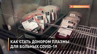Как стать донором плазмы для больных COVID-19