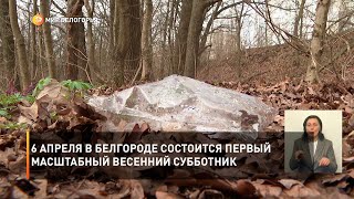 6 апреля в Белгороде состоится первый масштабный весенний субботник