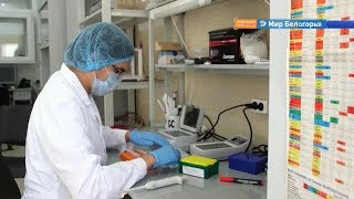 Прорывные проекты белгородских ученых
