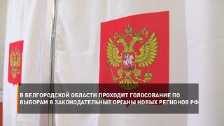 В Белгородской области проходит голосование по выборам в законодательные органы новых регионов РФ