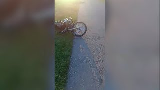 Авария в Вейделевском районе
