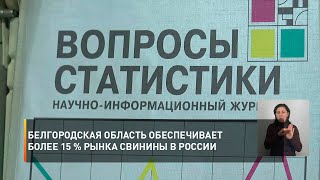 Белгородская область обеспечивает более 15 % рынка свинины в России