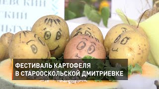 Фестиваль картофеля в старооскольской Дмитриевке
