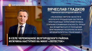 В селе Черемошное Белгородского района мужчина наступил на мину «лепесток»