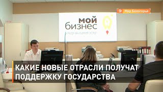 Какие новые отрасли получат поддержку государства