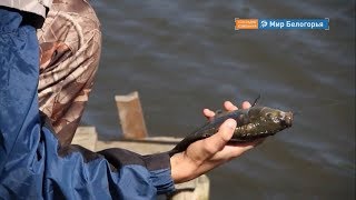 Запрет на рыбалку из-за нереста закончился