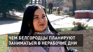 Чем белгородцы планируют заниматься в нерабочие дни