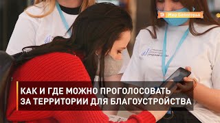 Как и где можно проголосовать за территории для благоустройства