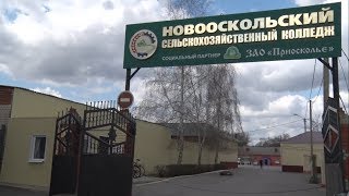Кто станет участником форума рабочей молодежи 