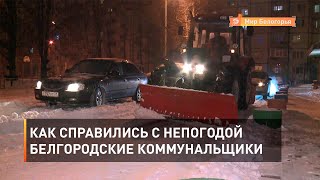Как справились с непогодой белгородские коммунальщики