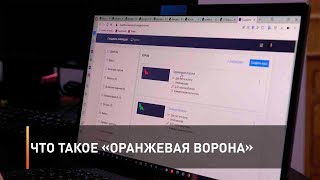 Что такое «Оранжевая Ворона»