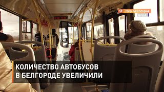 Количество автобусов в Белгороде увеличили