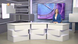 «Такой день». Белгородские новости (выпуск 24.11.22)
