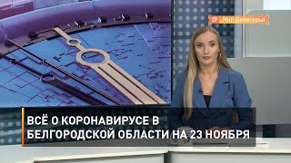 Всё о коронавирусе в Белгородской области на 23 ноября