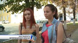 Как найти хорошего ветеринара