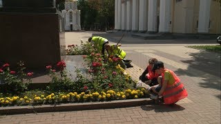 Как школьнику найти работу на лето