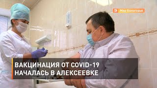 Вакцинация от COVID-19 началась в Алексеевке 