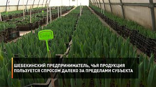 Шебекинский предприниматель, чья продукция пользуется спросом далеко за пределами субъекта