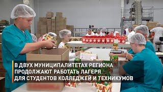 В двух муниципалитетах региона продолжают работать лагеря для студентов колледжей и техникумов
