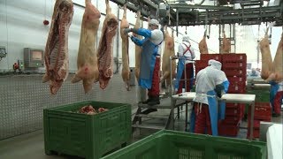 Белгородская область увеличит экспорт сельхозпродукции