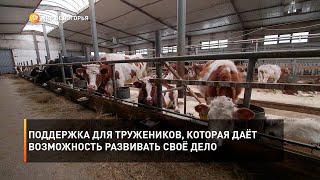 Поддержка для тружеников, которая даёт возможность развивать своё дело