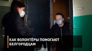 Как волонтёры помогают белгородцам