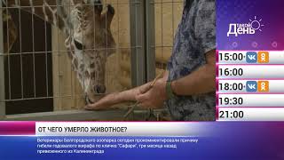 «Такой день». Новости 23 ноября (Анонс)