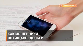 Как мошенники похищают деньги 