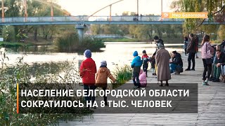 Население Белгородской области сократилось на 8 тыс. человек 