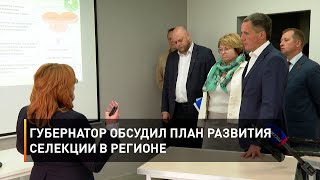 Губернатор обсудил план развития селекции в регионе