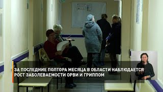 За последние полтора месяца в области наблюдается рост заболеваемости ОРВИ и гриппом