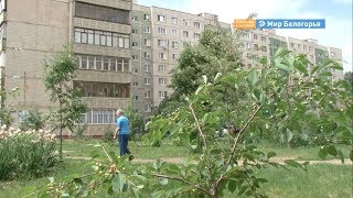 Конкурс общественно значимых проектов «Единой России»