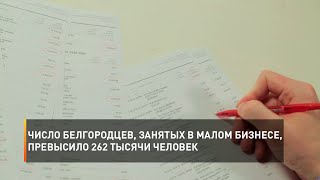 Число белгородцев, занятых в малом бизнесе, превысило 262 тысячи человек
