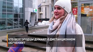 Что белгородцы думают о дистанционном обучении?