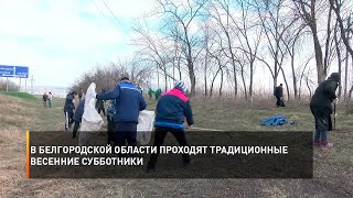 В Белгородской области проходят традиционные весенние субботники