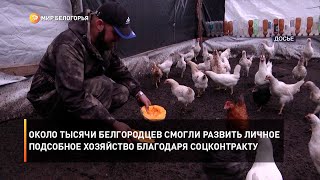 Около тысячи белгородцев смогли развить личное подсобное хозяйство благодаря соцконтракту