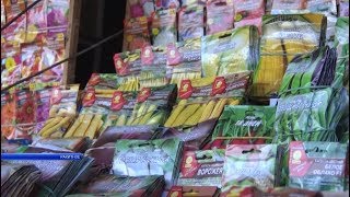 Россельхознадзор поможет выбрать семена