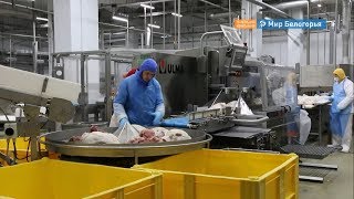 Представители Венесуэлы оценили белгородское производство