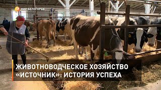 Животноводческое хозяйство «Источник»: история успеха