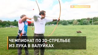 Чемпионат по 3D-стрельбе из лука в Валуйках 