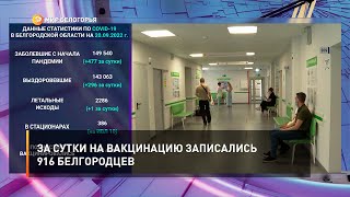 За сутки на вакцинацию записались 916 белгородцев