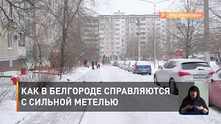 Как в Белгороде справляются с сильной метелью