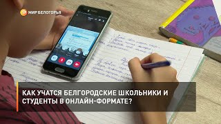 Как учатся белгородские школьники и студенты в онлайн-формате?